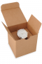 BOXEXCLUSIVE